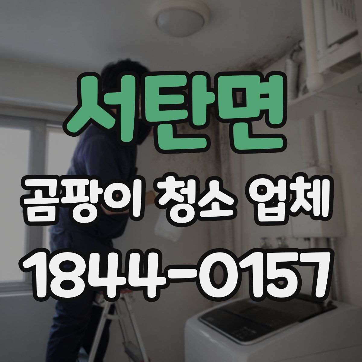 서탄면 곰팡이 청소 업체