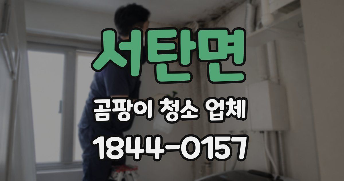 서탄면 곰팡이 청소 업체