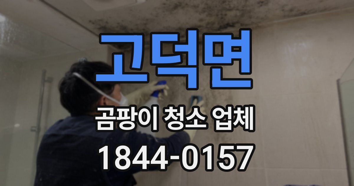 고덕면 곰팡이 청소 업체