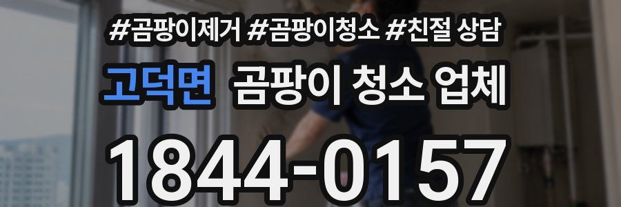 고덕면 곰팡이 청소 업체