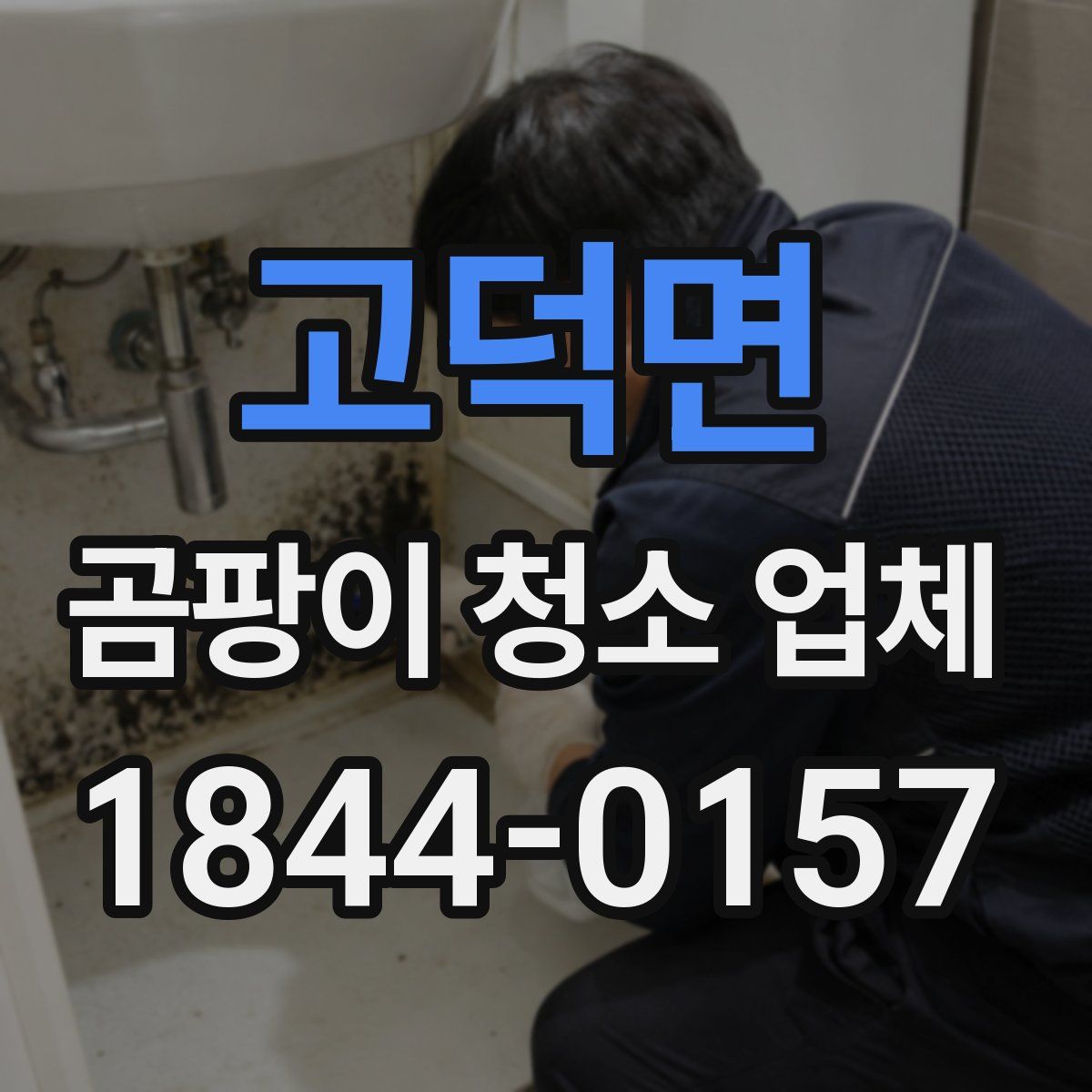 고덕면 곰팡이 청소 업체