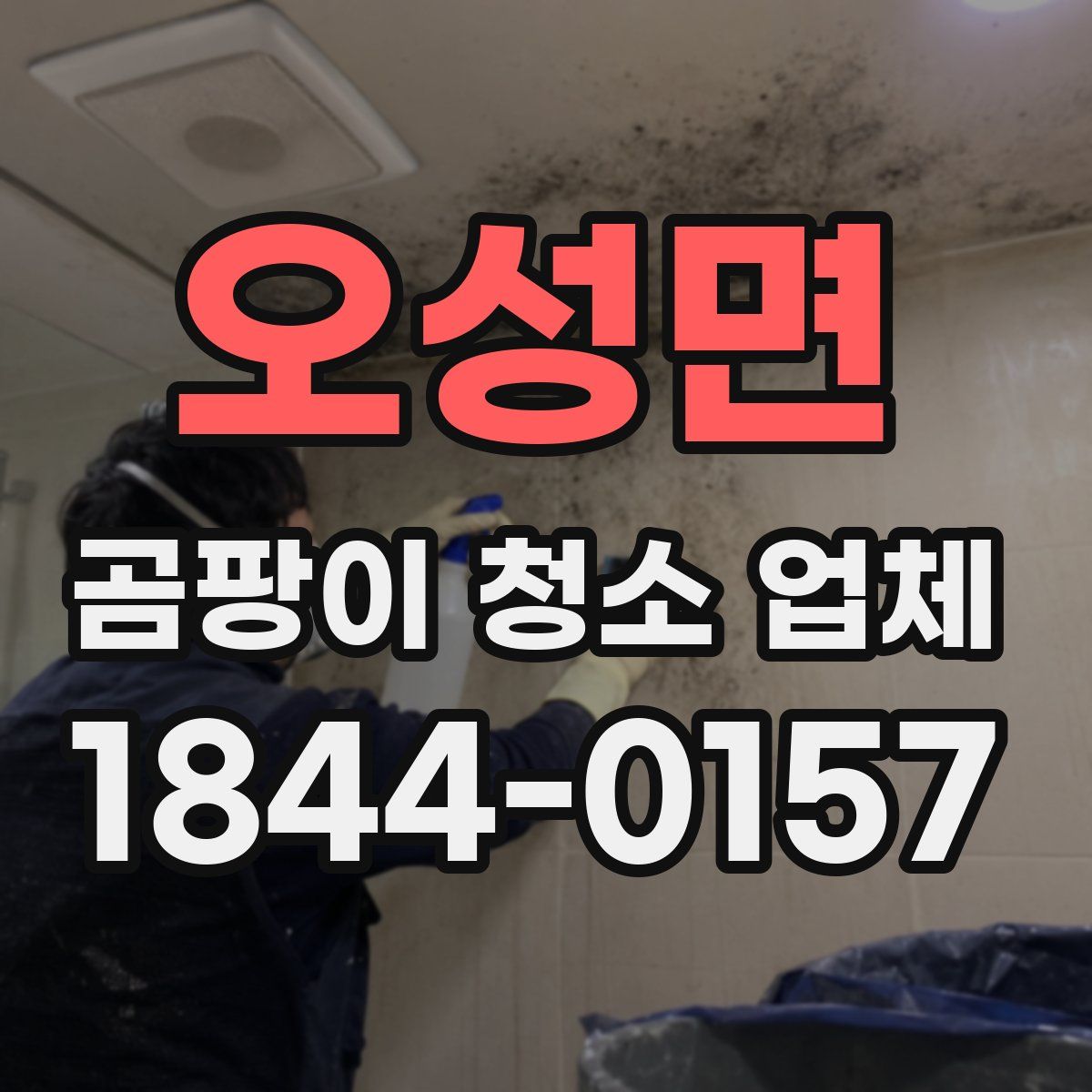 오성면 곰팡이 청소 업체