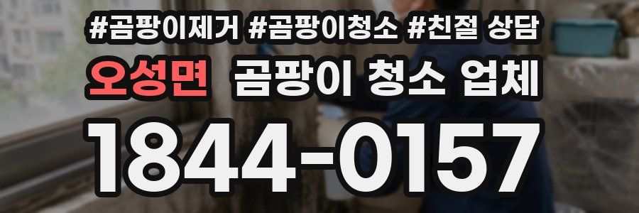 오성면 곰팡이 청소 업체
