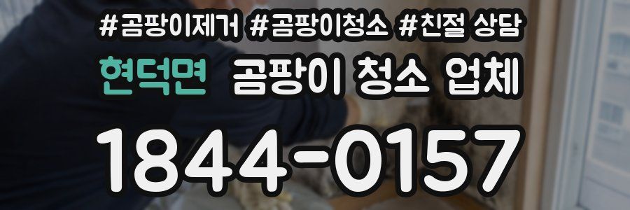 현덕면 곰팡이 청소 업체