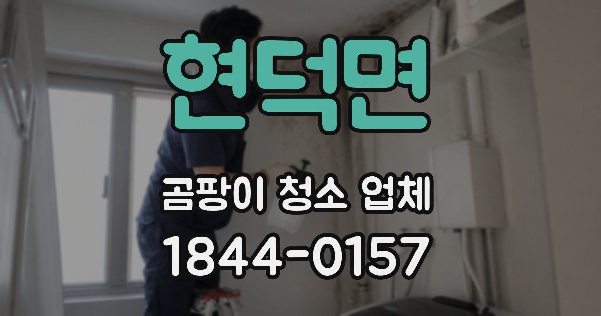 현덕면 곰팡이 청소 업체