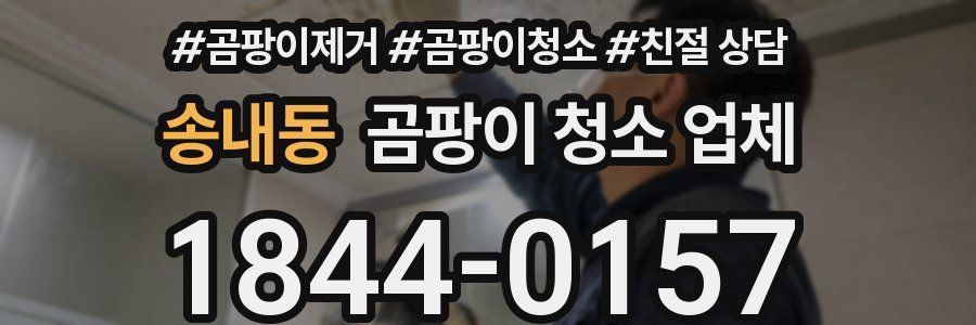 송내동 곰팡이 청소 업체