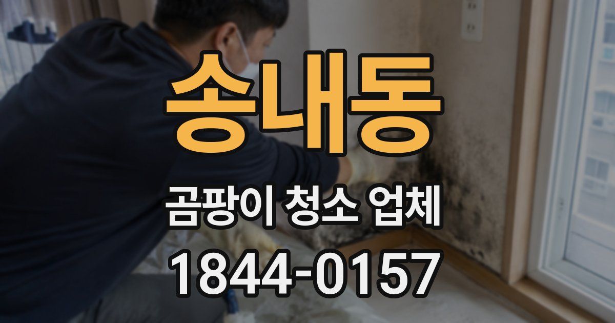 송내동 곰팡이 청소 업체