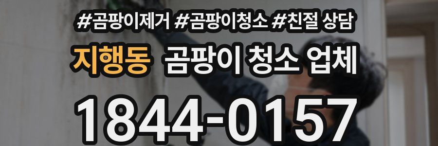 지행동 곰팡이 청소 업체