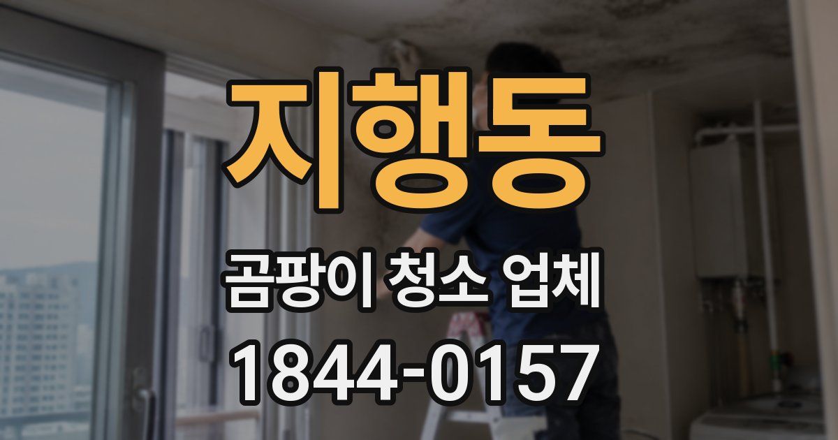 지행동 곰팡이 청소 업체