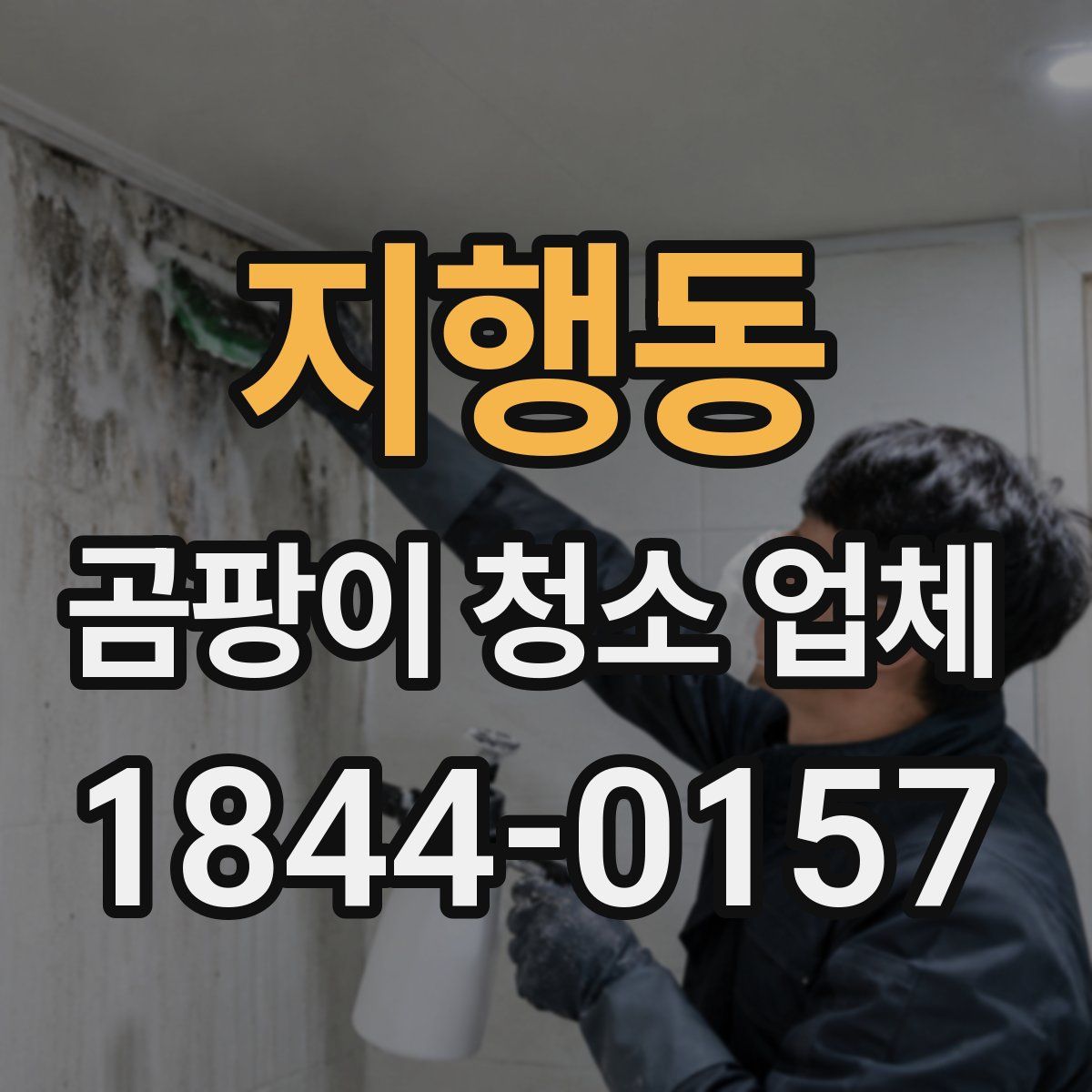 지행동 곰팡이 청소 업체
