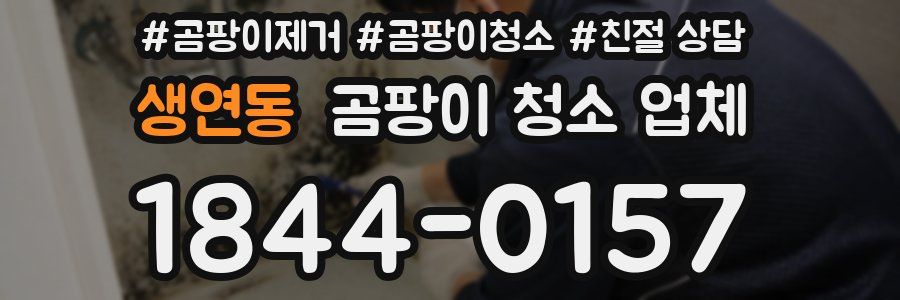 생연동 곰팡이 청소 업체