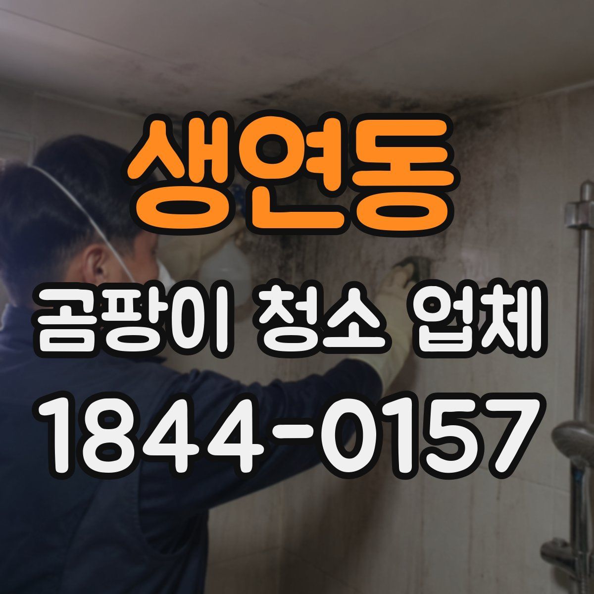 생연동 곰팡이 청소 업체