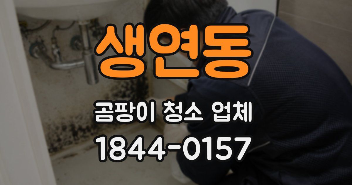 생연동 곰팡이 청소 업체
