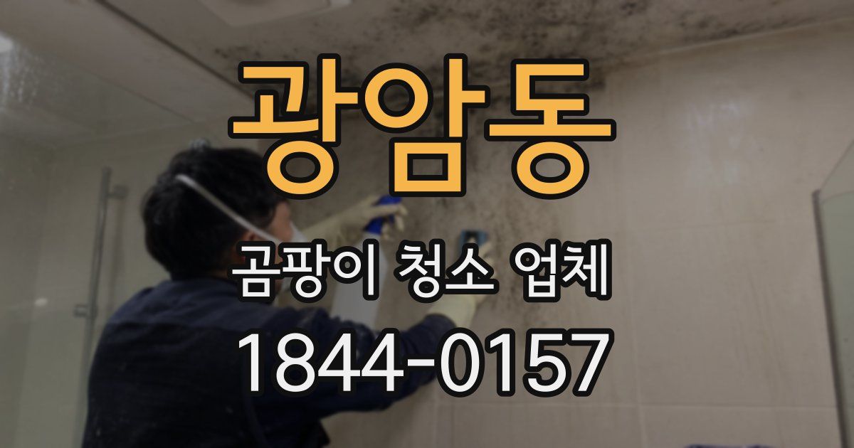 광암동 곰팡이 청소 업체