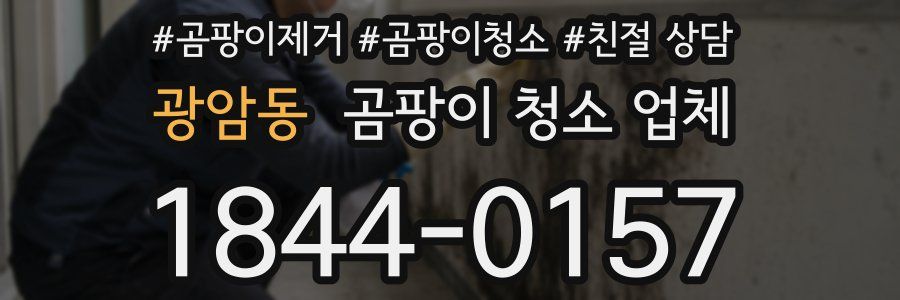 광암동 곰팡이 청소 업체