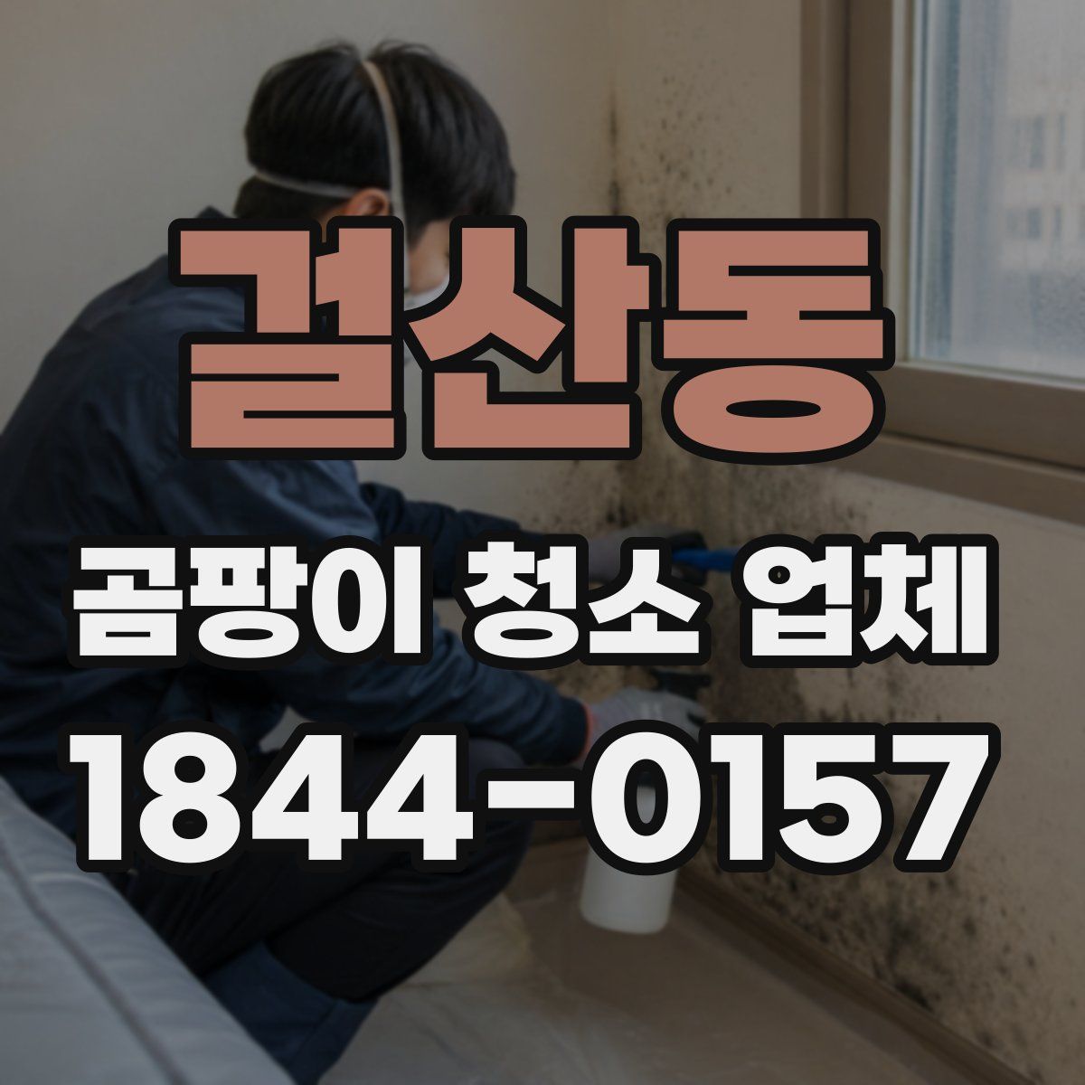 걸산동 곰팡이 청소 업체