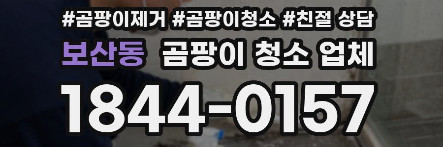 보산동 곰팡이 청소 업체