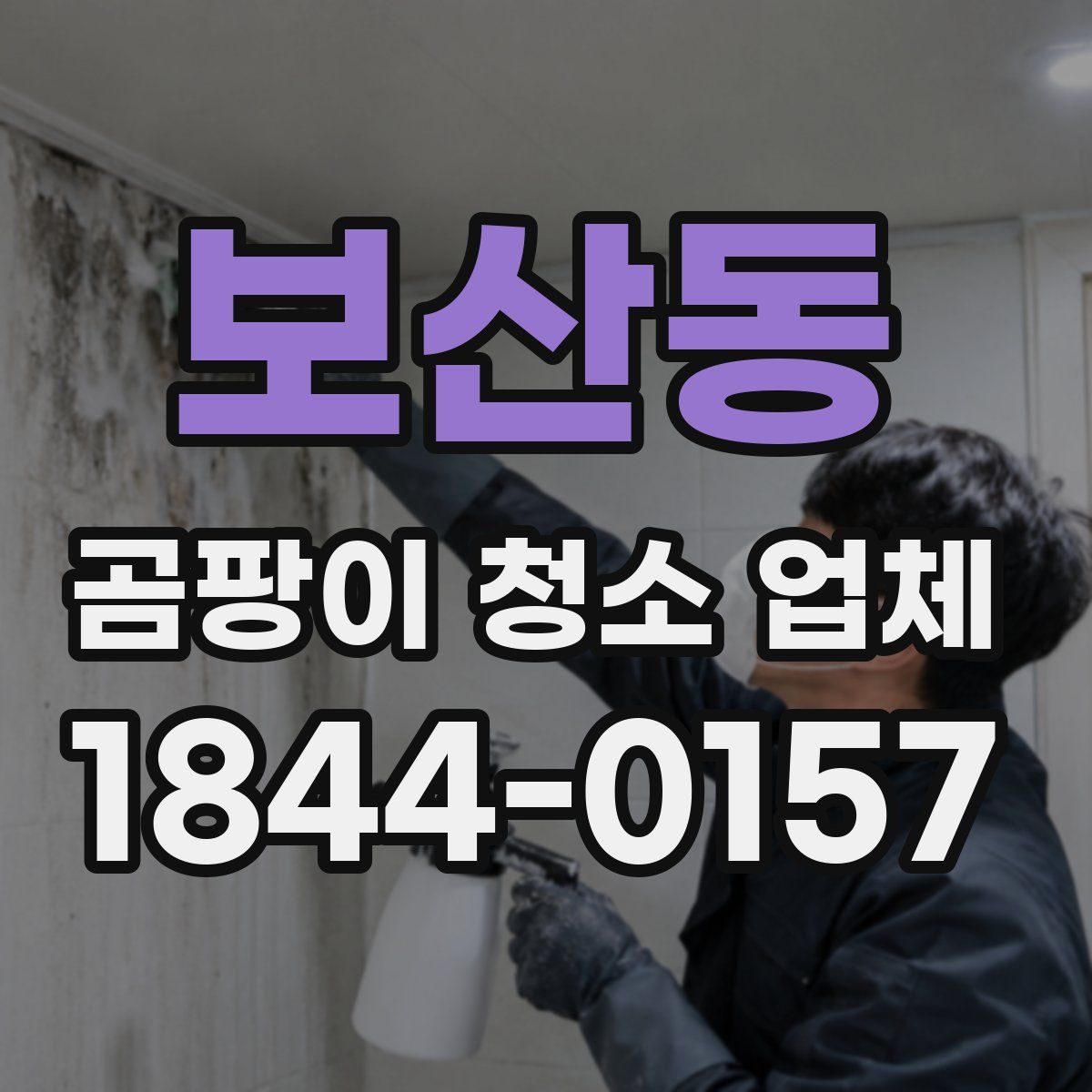 보산동 곰팡이 청소 업체