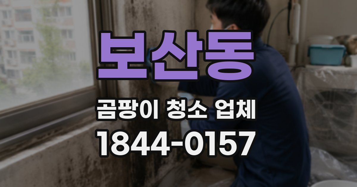 보산동 곰팡이 청소 업체
