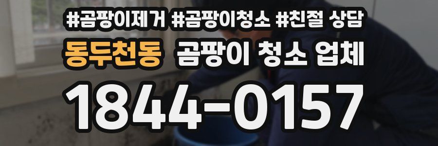 동두천동 곰팡이 청소 업체