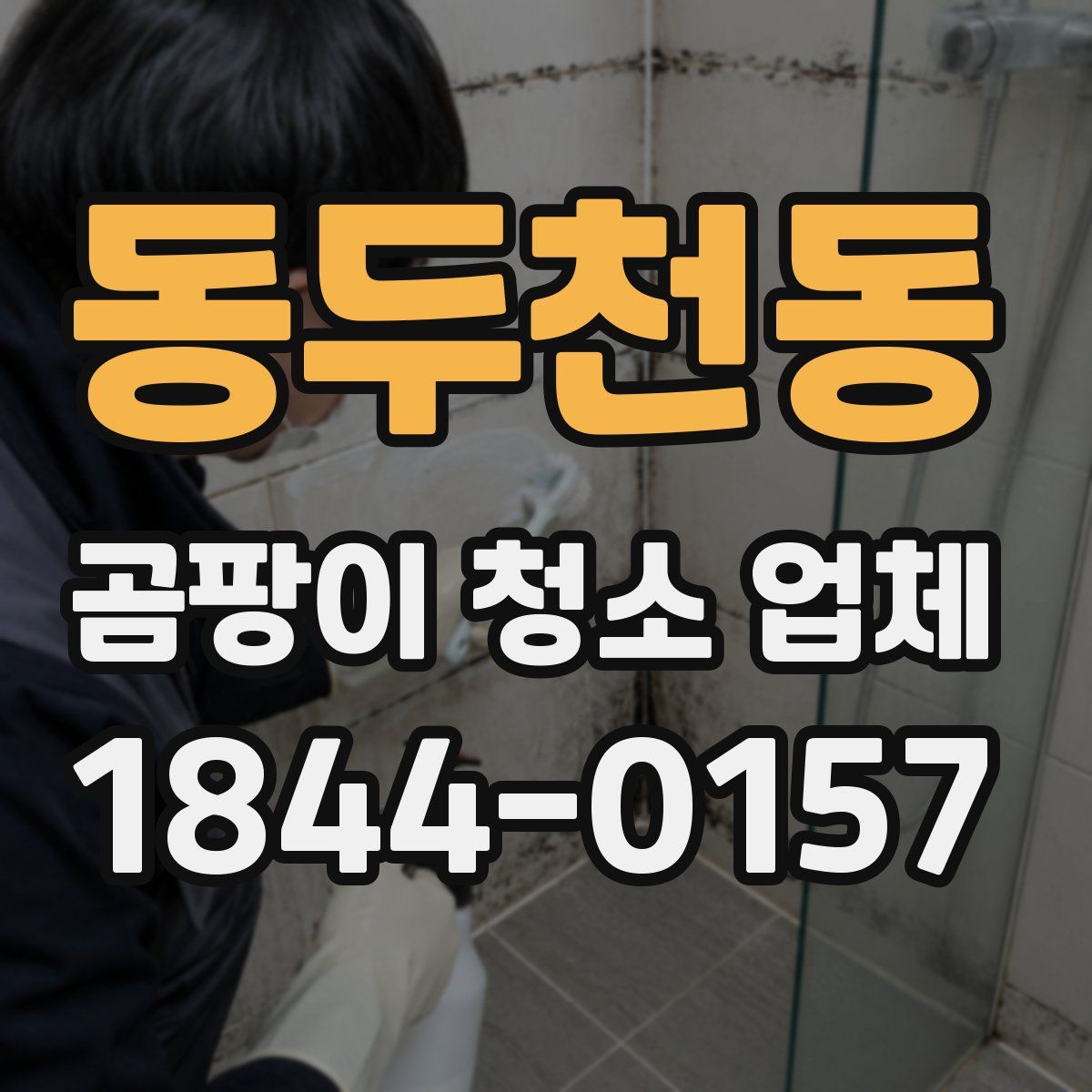 동두천동 곰팡이 청소 업체