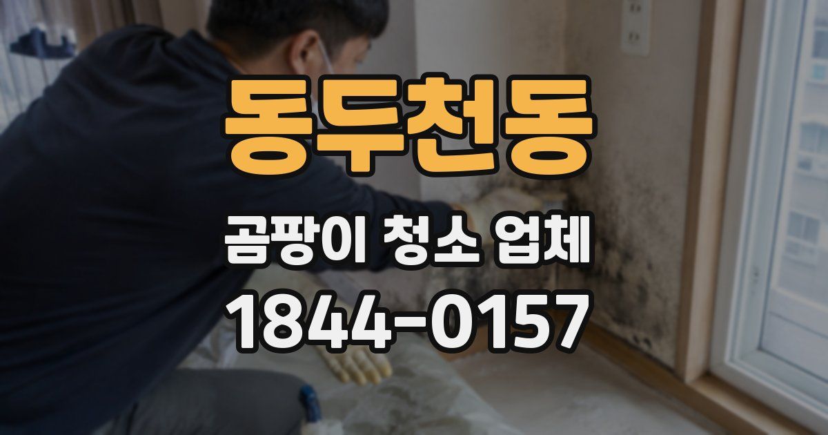 동두천동 곰팡이 청소 업체