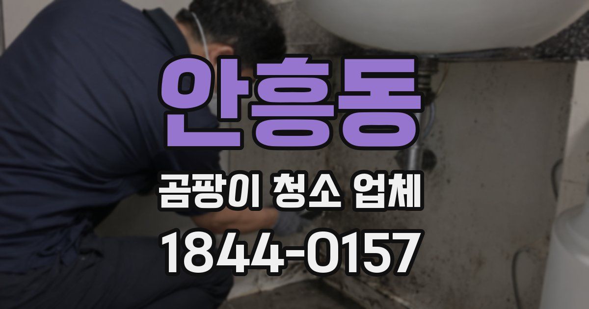 안흥동 곰팡이 청소 업체