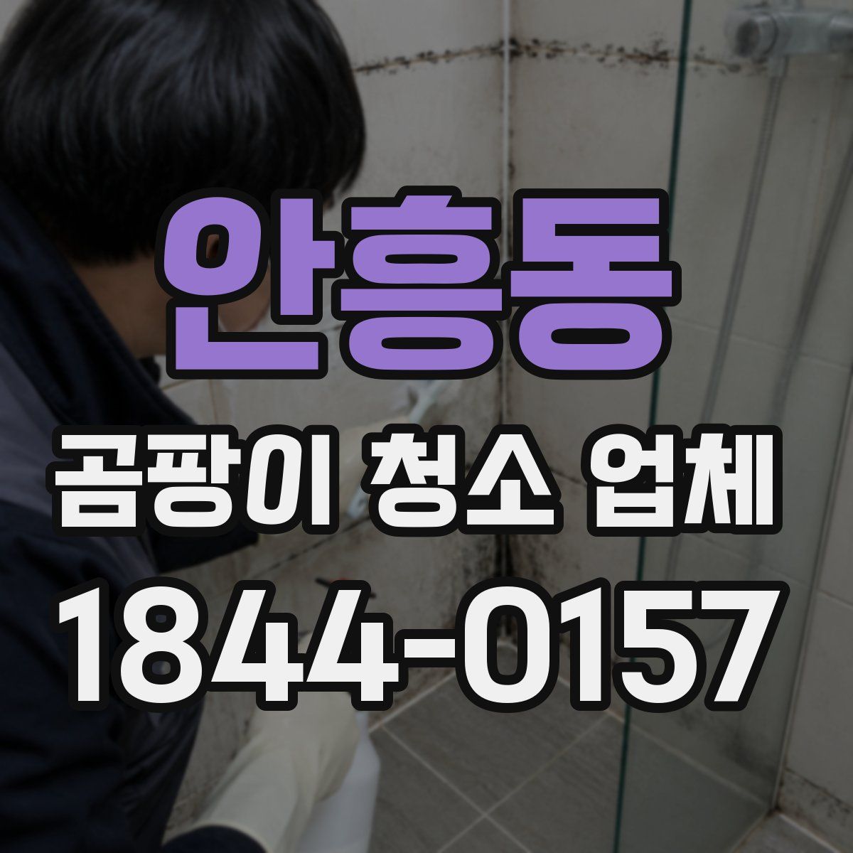 안흥동 곰팡이 청소 업체