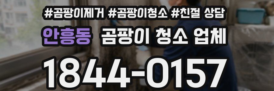 안흥동 곰팡이 청소 업체