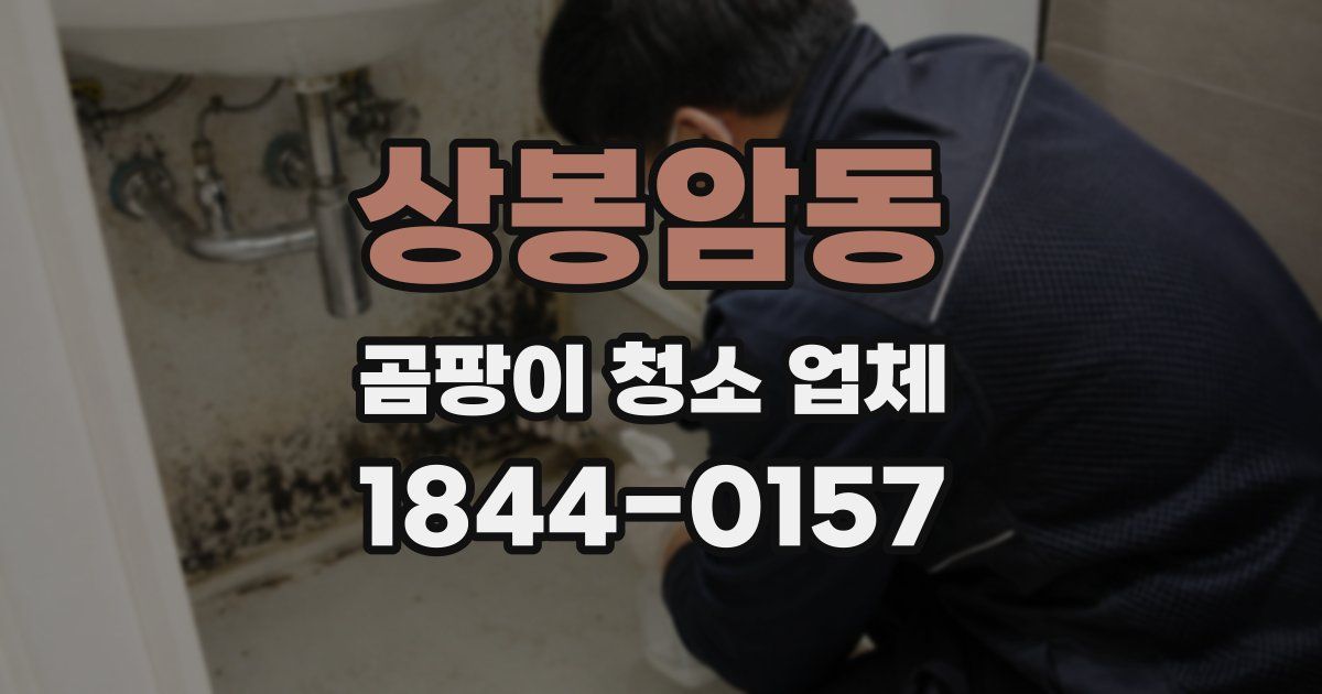 상봉암동 곰팡이 청소 업체