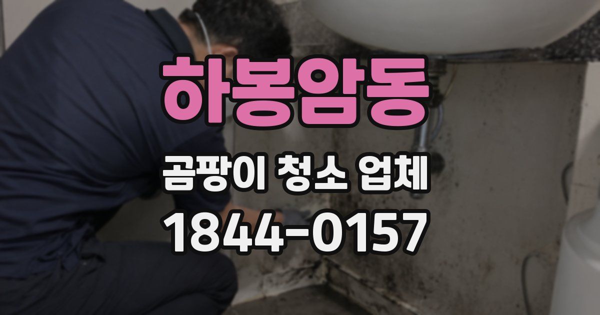 하봉암동 곰팡이 청소 업체