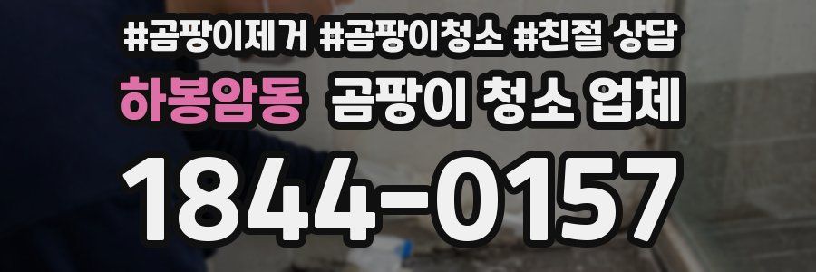 하봉암동 곰팡이 청소 업체