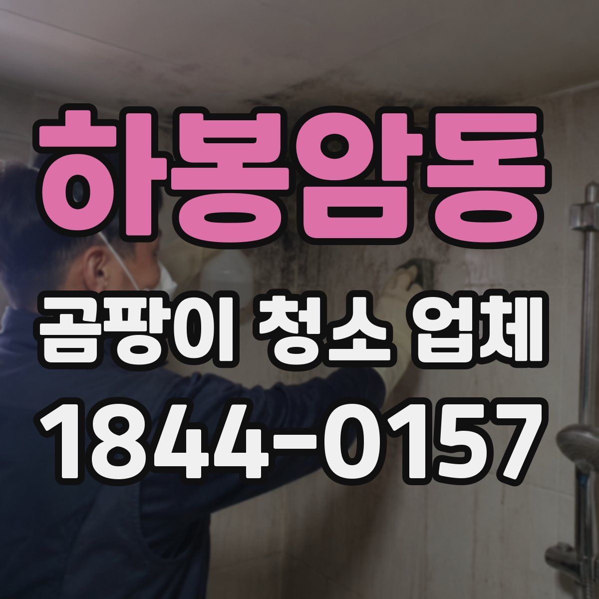 하봉암동 곰팡이 청소 업체