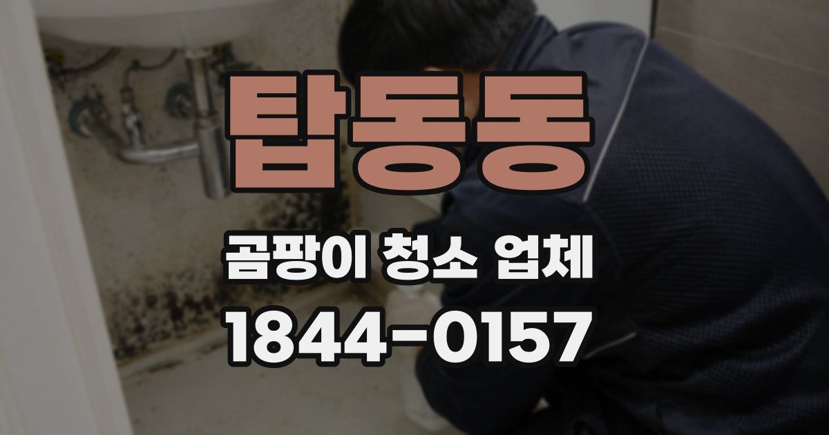 탑동동 곰팡이 청소 업체