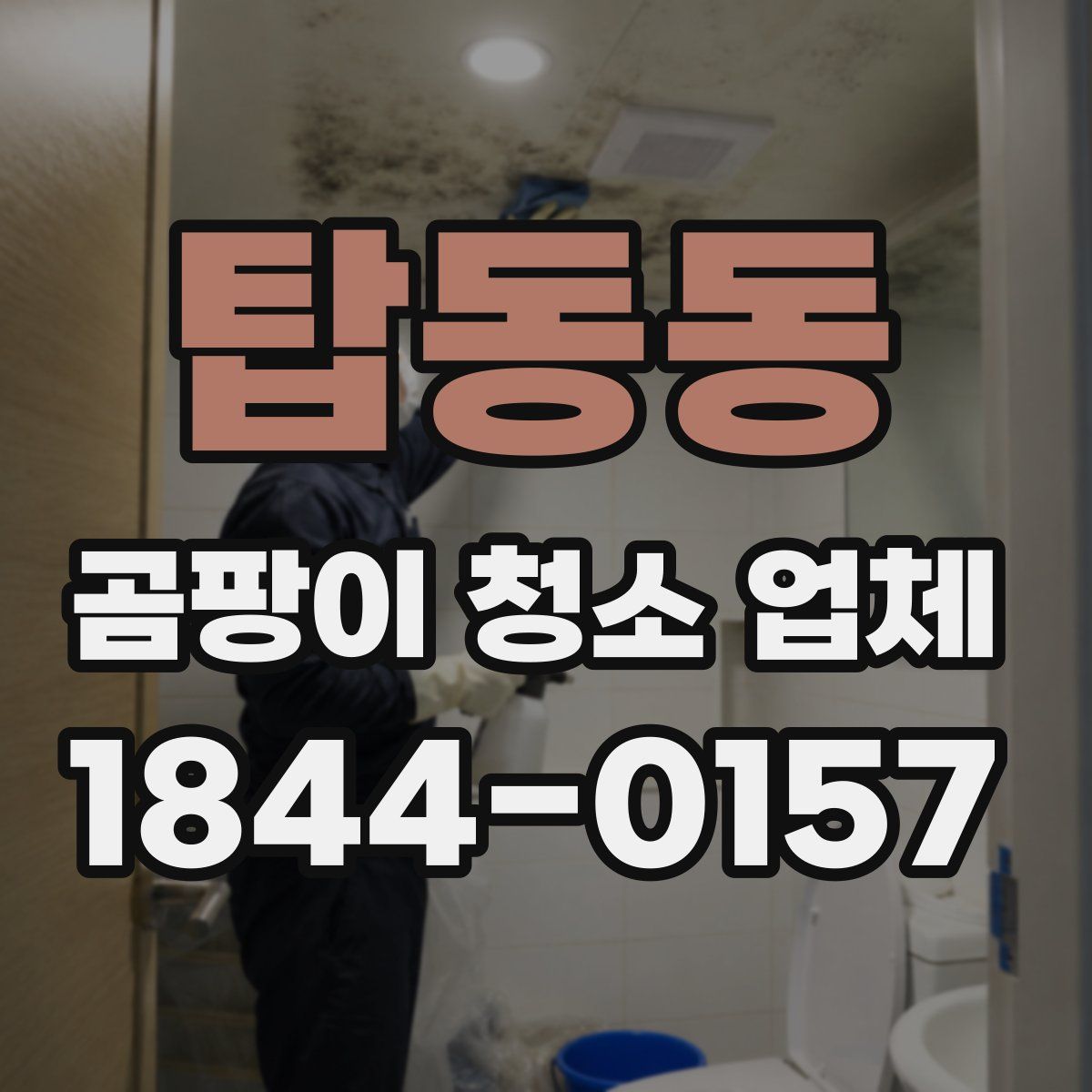 탑동동 곰팡이 청소 업체
