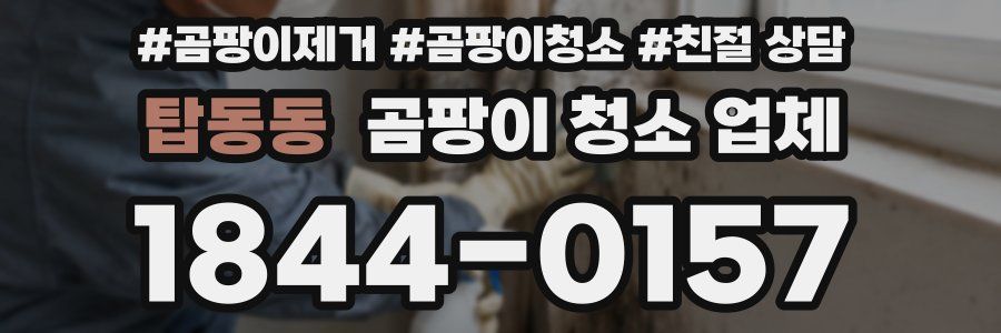 탑동동 곰팡이 청소 업체
