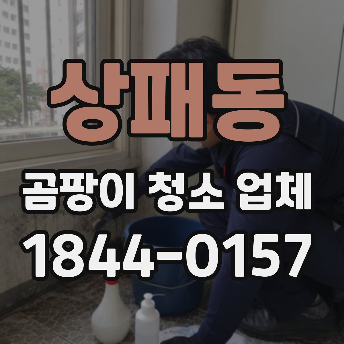 상패동 곰팡이 청소 업체
