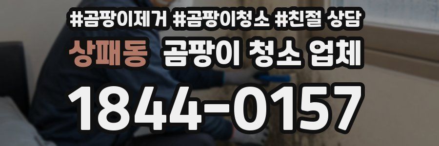 상패동 곰팡이 청소 업체