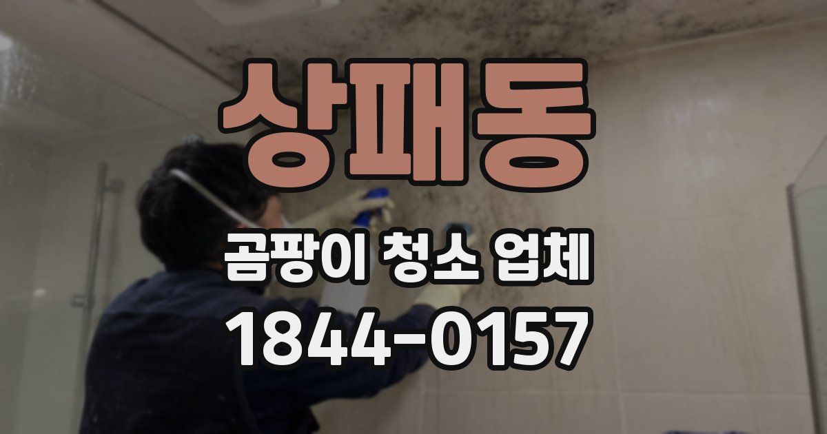 상패동 곰팡이 청소 업체