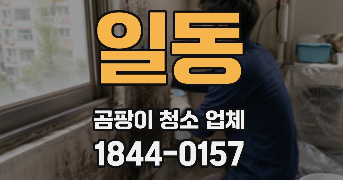일동 곰팡이 청소 업체