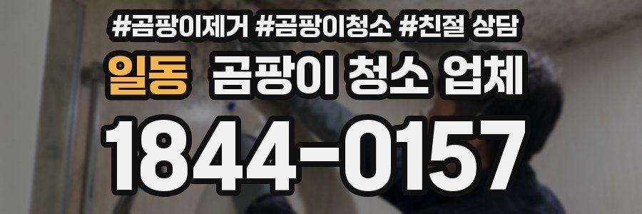 일동 곰팡이 청소 업체