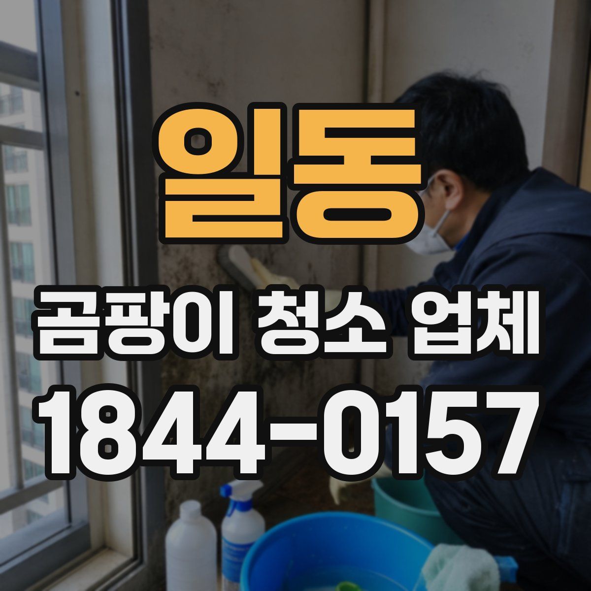 일동 곰팡이 청소 업체