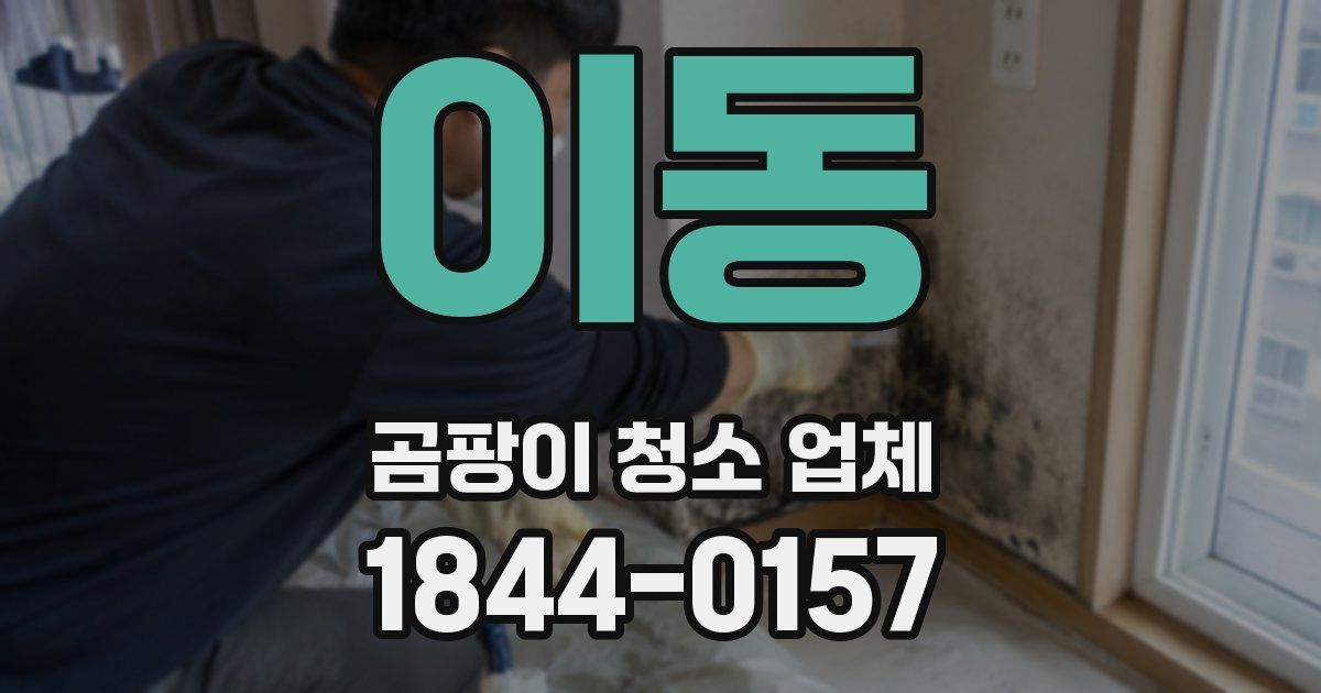 이동 곰팡이 청소 업체