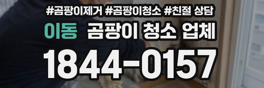 이동 곰팡이 청소 업체