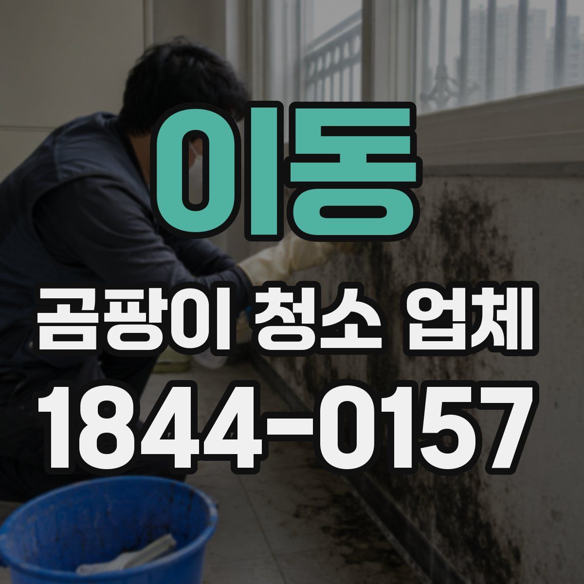 이동 곰팡이 청소 업체