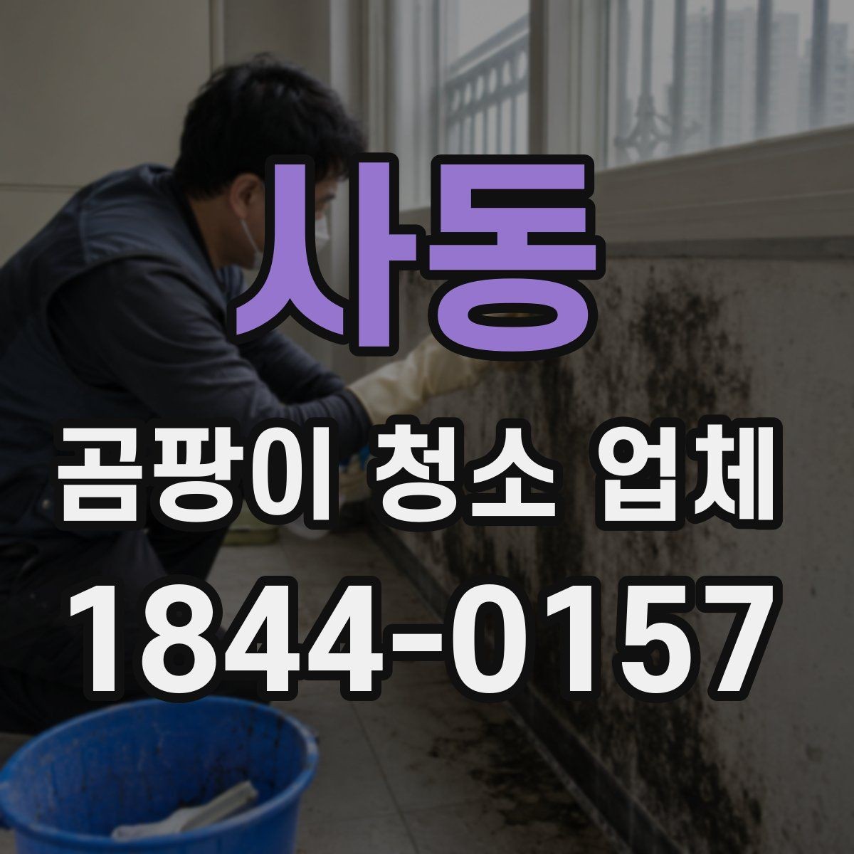 사동 곰팡이 청소 업체 이용 전 설명서처럼 읽는 기본 정보