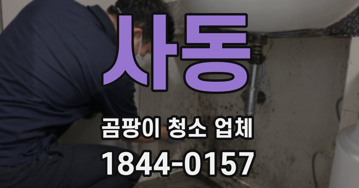 사동 곰팡이 청소 업체