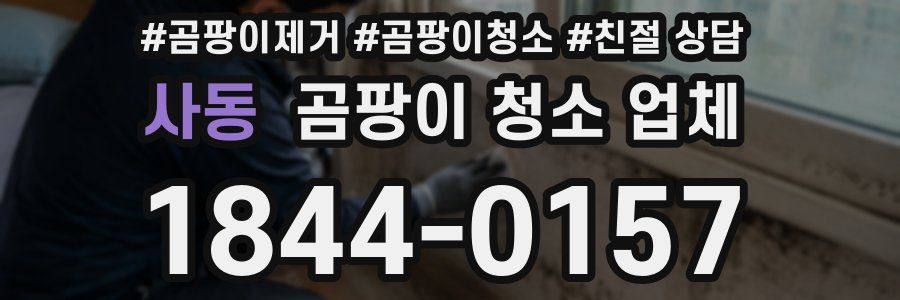 사동 곰팡이 청소 업체