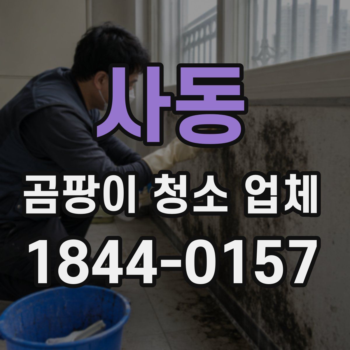 사동 곰팡이 청소 업체