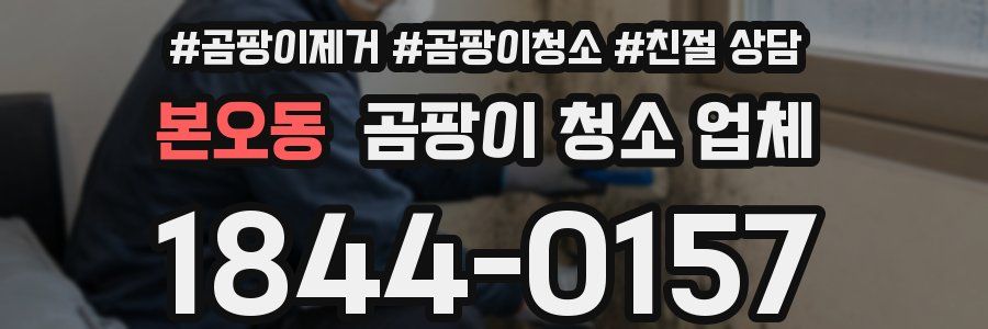 본오동 곰팡이 청소 업체